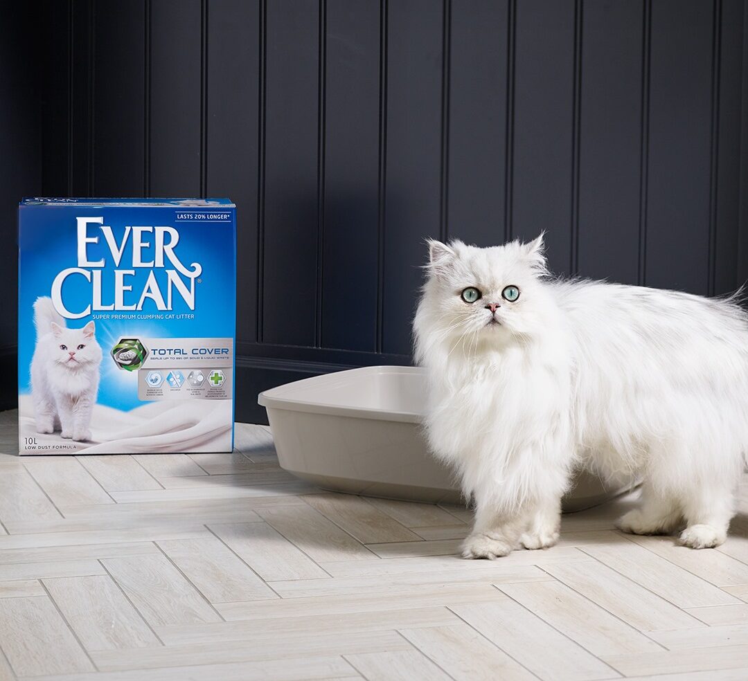 Ever Clean® Extra Strong Clumping Cat Litter – Unscented, 10kg Lemmikloomadele - HellyK - Kvaliteetsed lasteriided, villariided, barefoot jalatsid