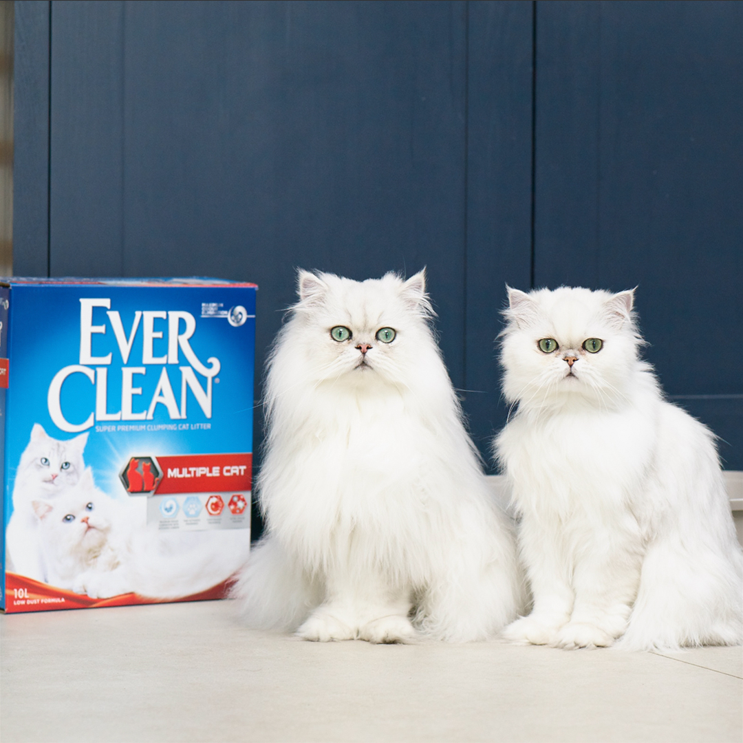 Ever Clean® Multiple Cat Clumping Cat Litter,10kg Lemmikloomadele - HellyK - Kvaliteetsed lasteriided, villariided, barefoot jalatsid