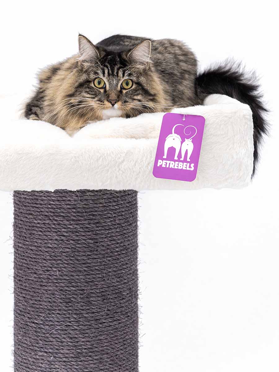 Petrebels Cat Tree Maine Coon 117, Off white Lemmikloomadele - HellyK - Kvaliteetsed lasteriided, villariided, barefoot jalatsid