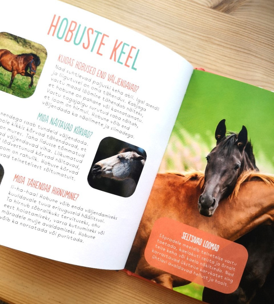 Hobused Mänguasjad - HellyK - Kvaliteetsed lasteriided, villariided, barefoot jalatsid