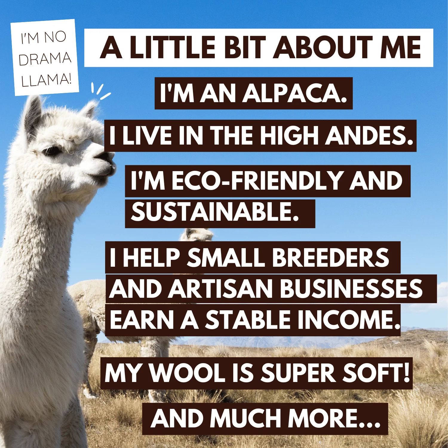 ALPACAS-FIFTHPICTURE-ALPACAPERU_1_3e7ad869-5d6c-4af0-a1f7-3b39224126c0_3000x