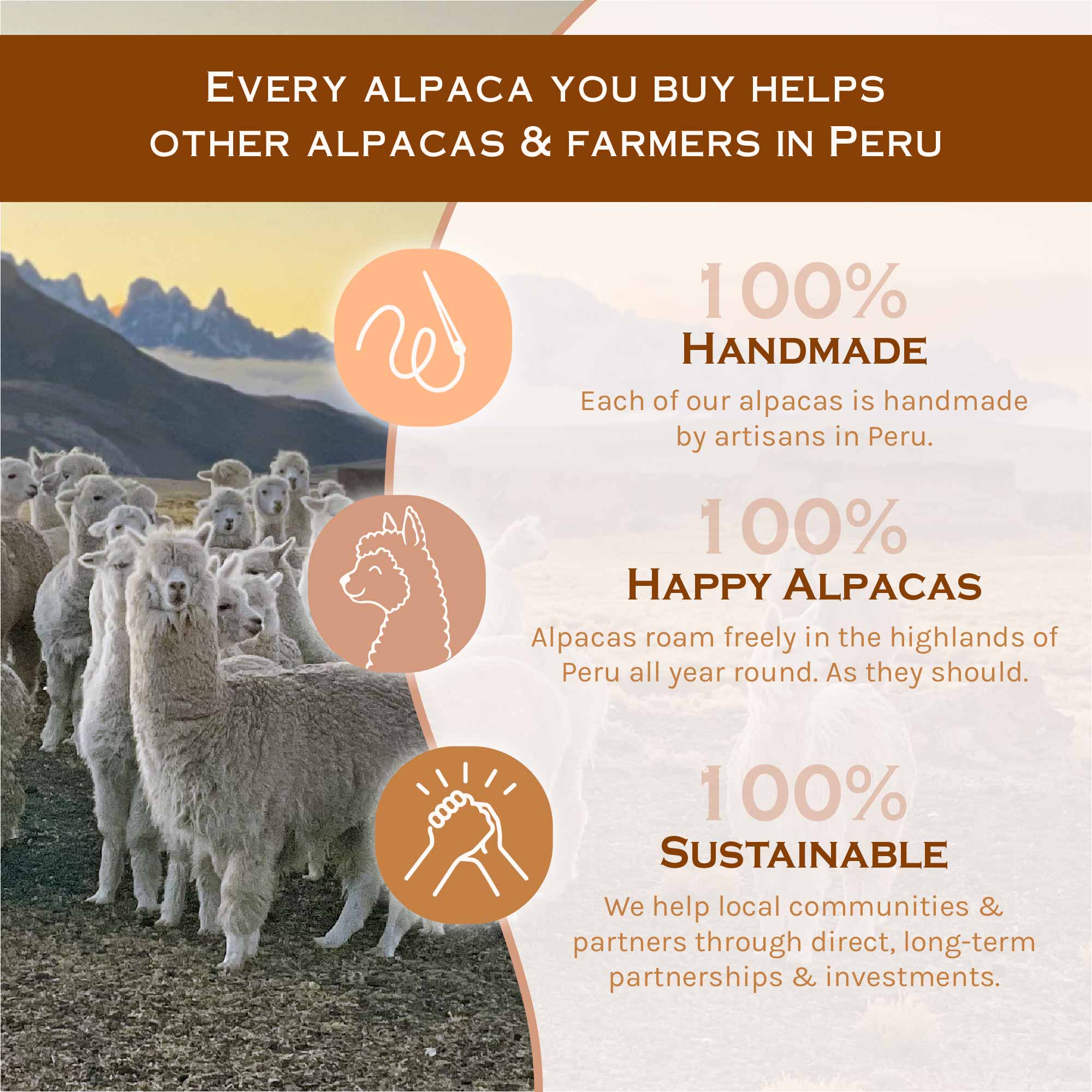 LISTING PICTURES_alpacas_small_caramel_shopify B2C_dec2022 (2)