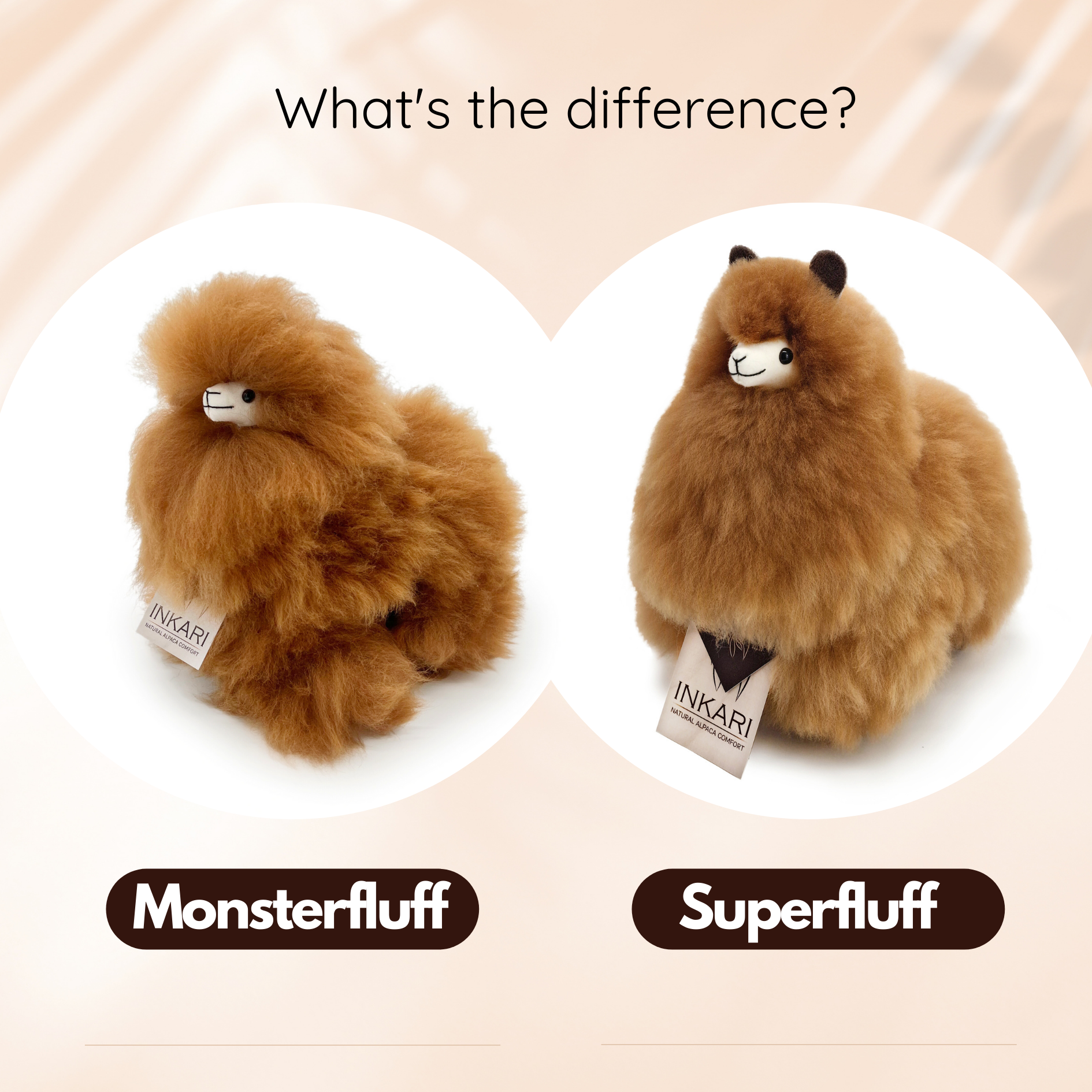 PRODUCT – COMPARISON – MONSTER & SUIPER(2)