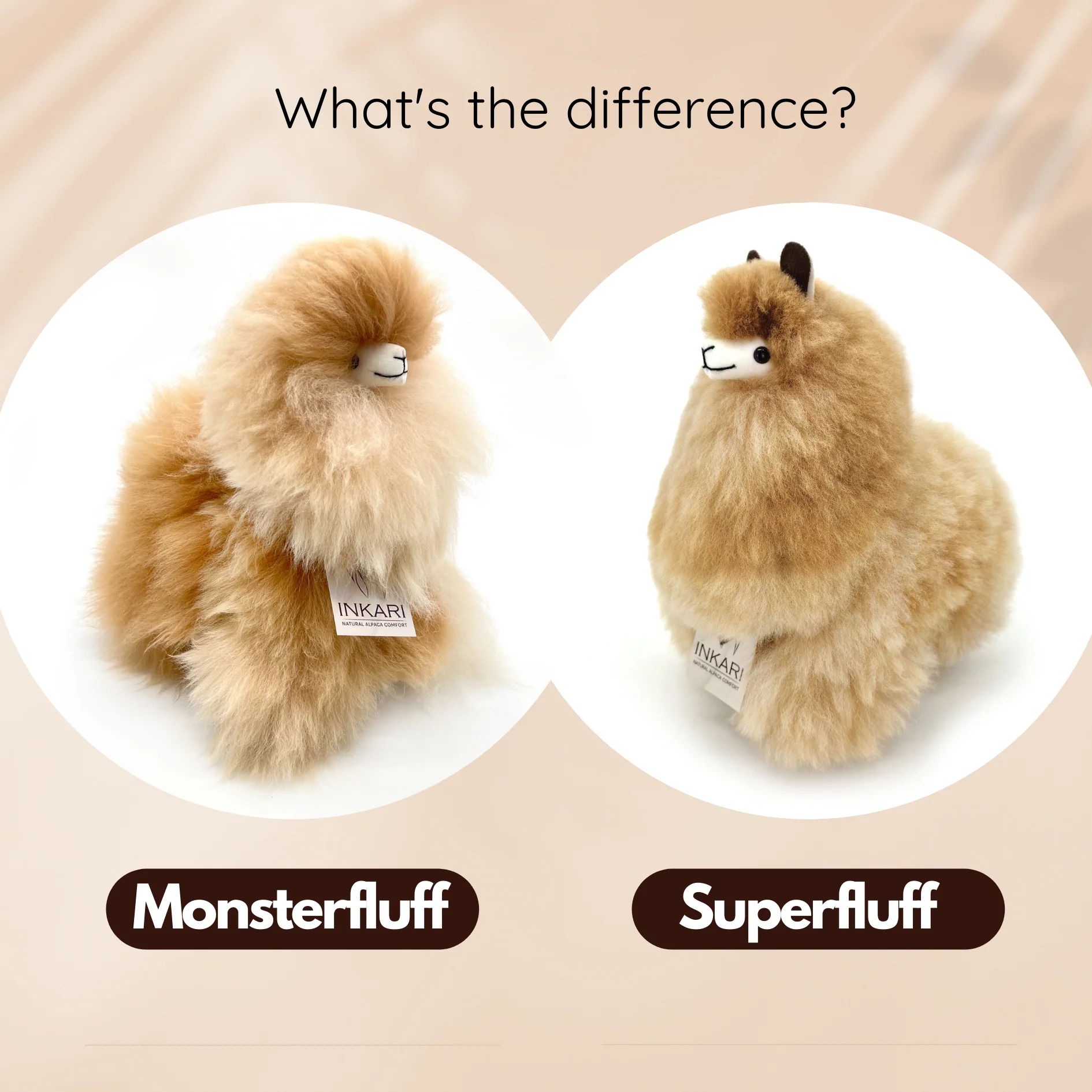 PRODUCT-COMPARISON-MONSTER_SUPERFLUFF-MEDIUM_4_3000x