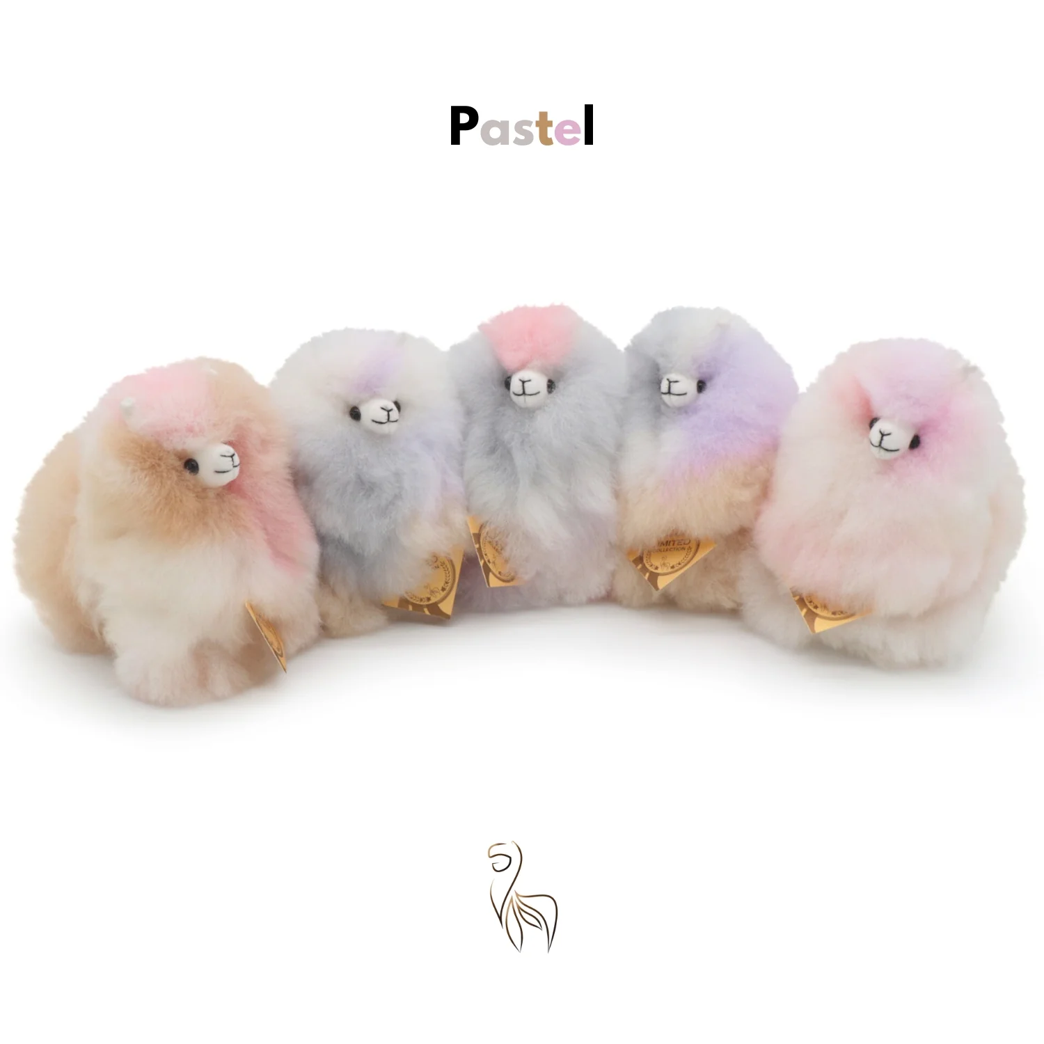 Pastel-Mini_2_3000x