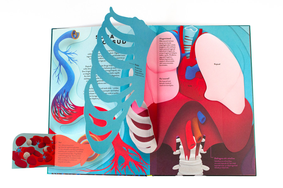 Paberikunst. Mis on peidus naha all ? Mänguasjad - HellyK - Kvaliteetsed lasteriided, villariided, barefoot jalatsid