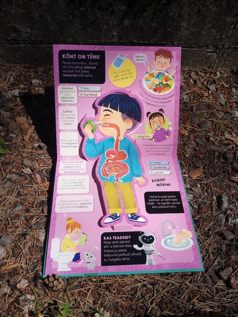 Minu imetore keha Mänguasjad - HellyK - Kvaliteetsed lasteriided, villariided, barefoot jalatsid