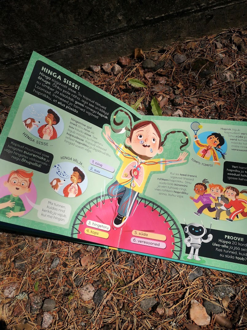 Minu imetore keha Minu imetore keha Mänguasjad - HellyK - Kvaliteetsed lasteriided, villariided, barefoot jalatsid