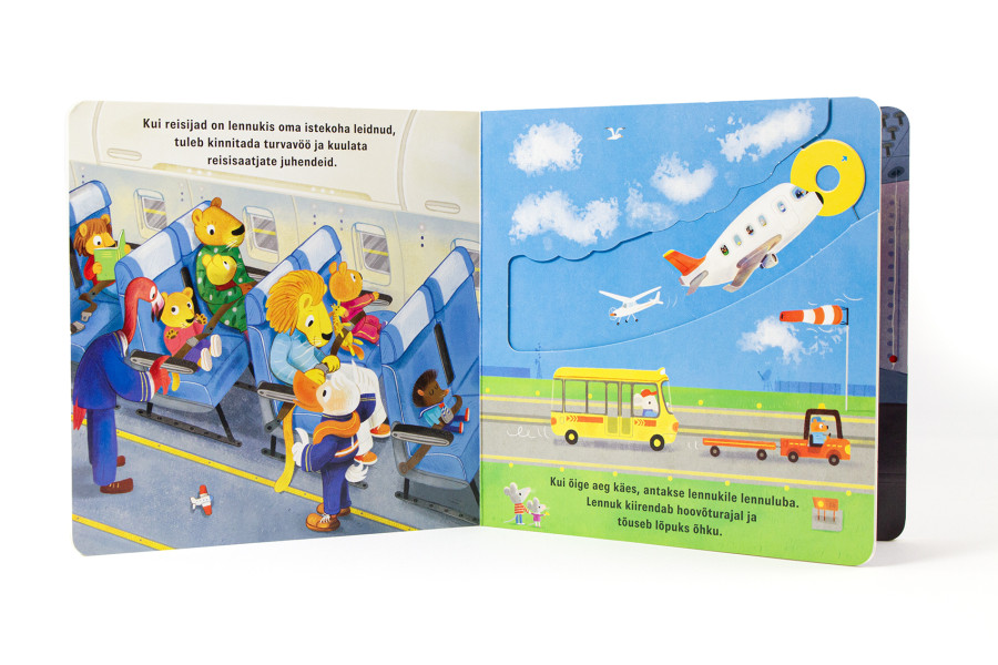 Beebi pardal. Lennuk Mänguasjad - HellyK - Kvaliteetsed lasteriided, villariided, barefoot jalatsid