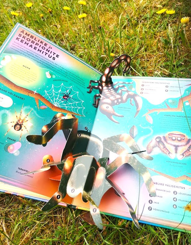 Putukate elu Mänguasjad - HellyK - Kvaliteetsed lasteriided, villariided, barefoot jalatsid