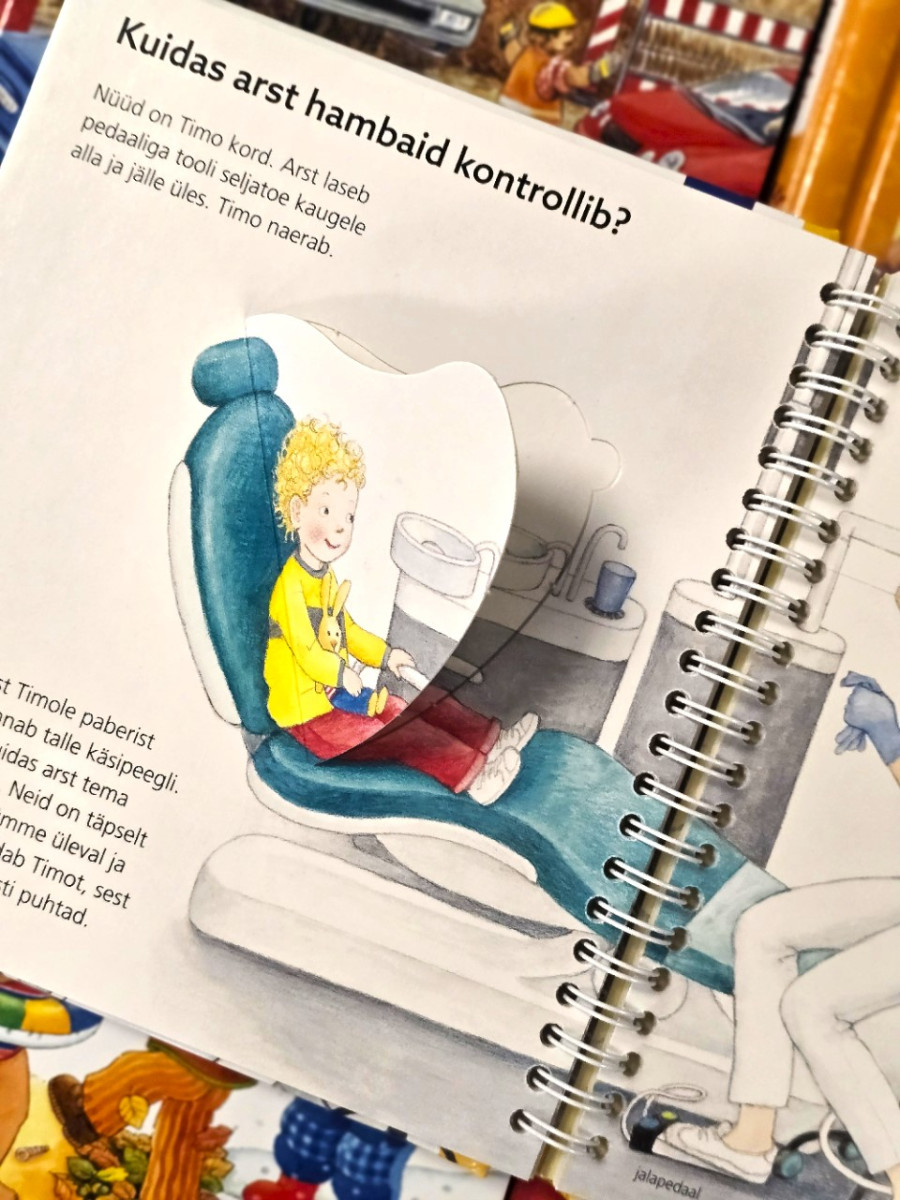 Aga miks ? Hambaarsti juures Mänguasjad - HellyK - Kvaliteetsed lasteriided, villariided, barefoot jalatsid