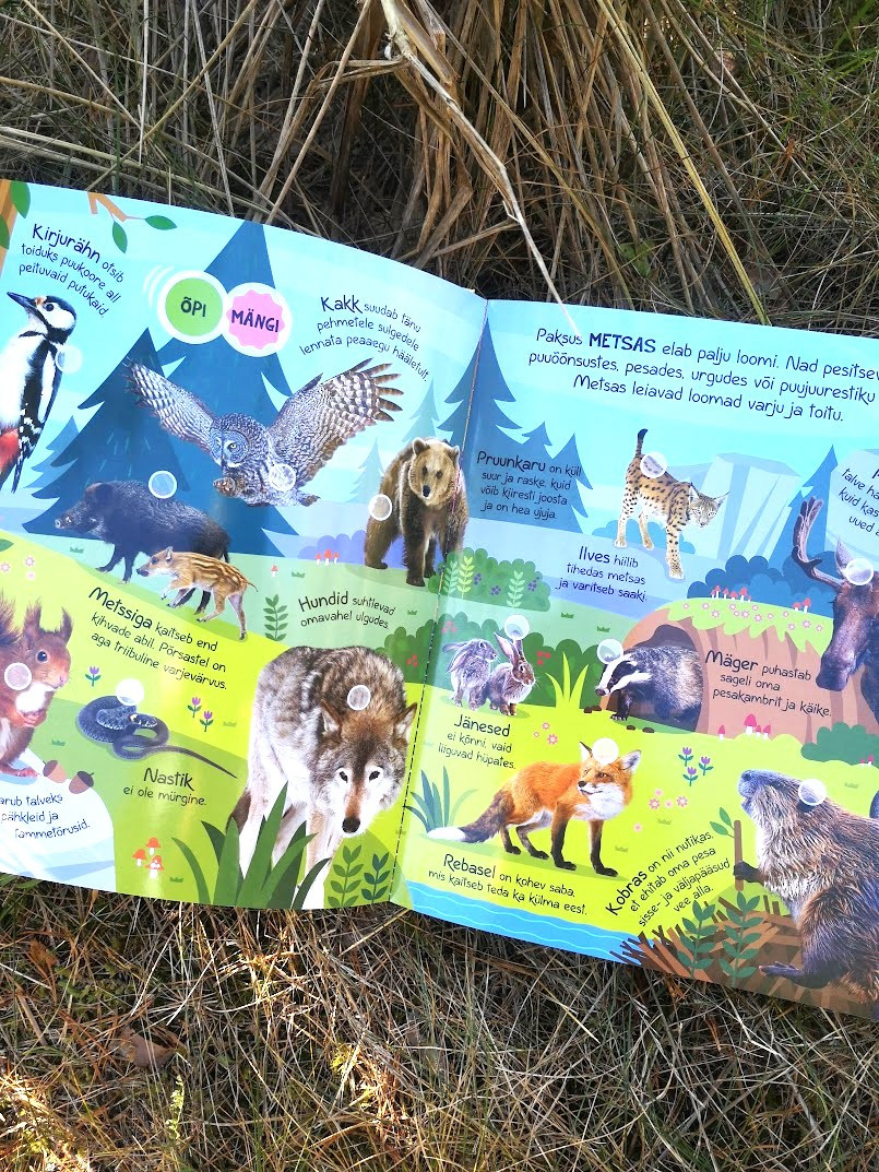 Tahan teada. Loomad Mänguasjad - HellyK - Kvaliteetsed lasteriided, villariided, barefoot jalatsid