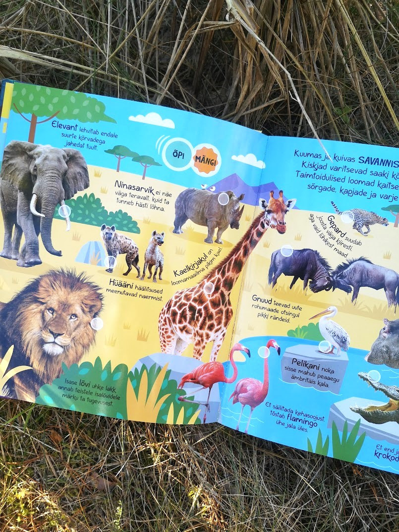 Tahan teada. Loomad Mänguasjad - HellyK - Kvaliteetsed lasteriided, villariided, barefoot jalatsid