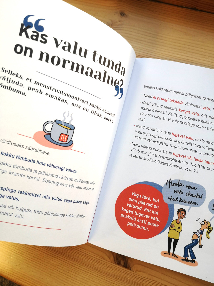 Muretult päevadest Mänguasjad - HellyK - Kvaliteetsed lasteriided, villariided, barefoot jalatsid