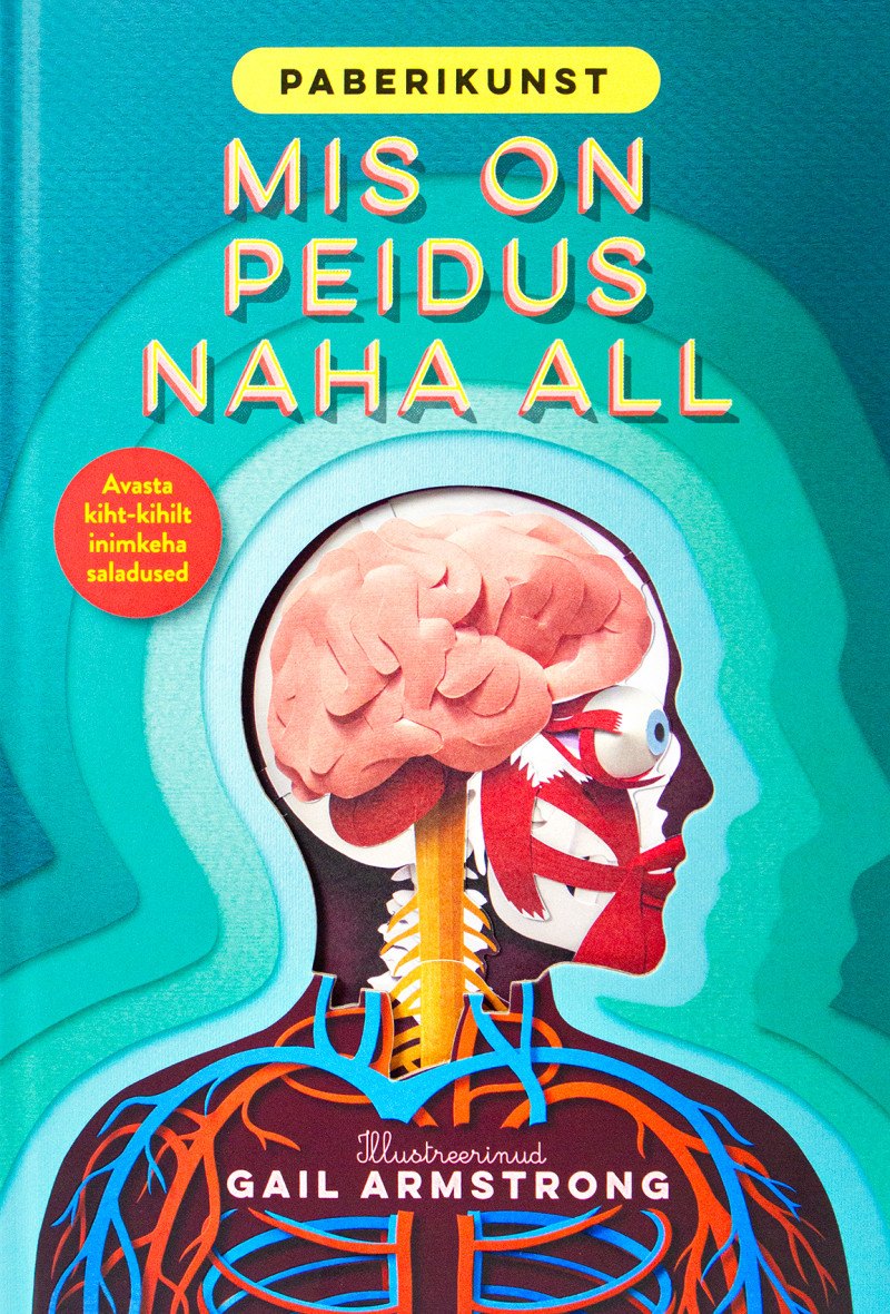 Paberikunst. Mis on peidus naha all ? Mänguasjad - HellyK - Kvaliteetsed lasteriided, villariided, barefoot jalatsid