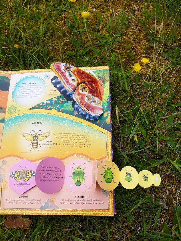 Putukate elu Mänguasjad - HellyK - Kvaliteetsed lasteriided, villariided, barefoot jalatsid