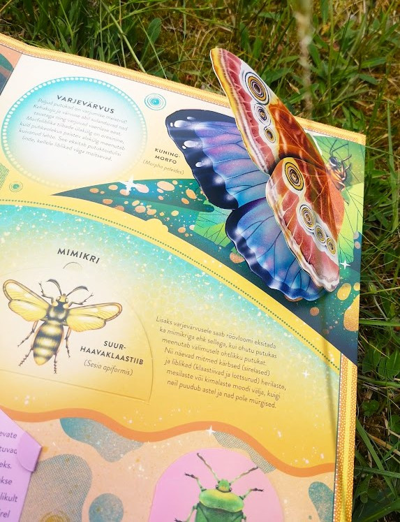 Putukate elu Mänguasjad - HellyK - Kvaliteetsed lasteriided, villariided, barefoot jalatsid