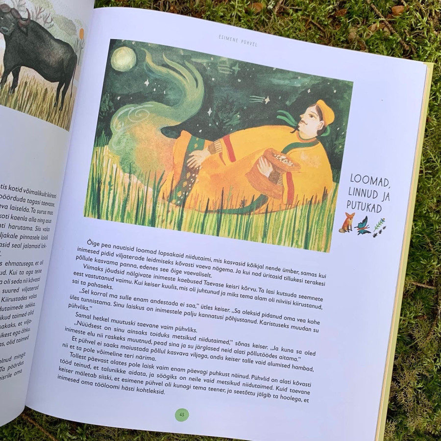 Lendav järv. 50 rahvajuttu ja legendi kogu maailmast Mänguasjad - HellyK - Kvaliteetsed lasteriided, villariided, barefoot jalatsid