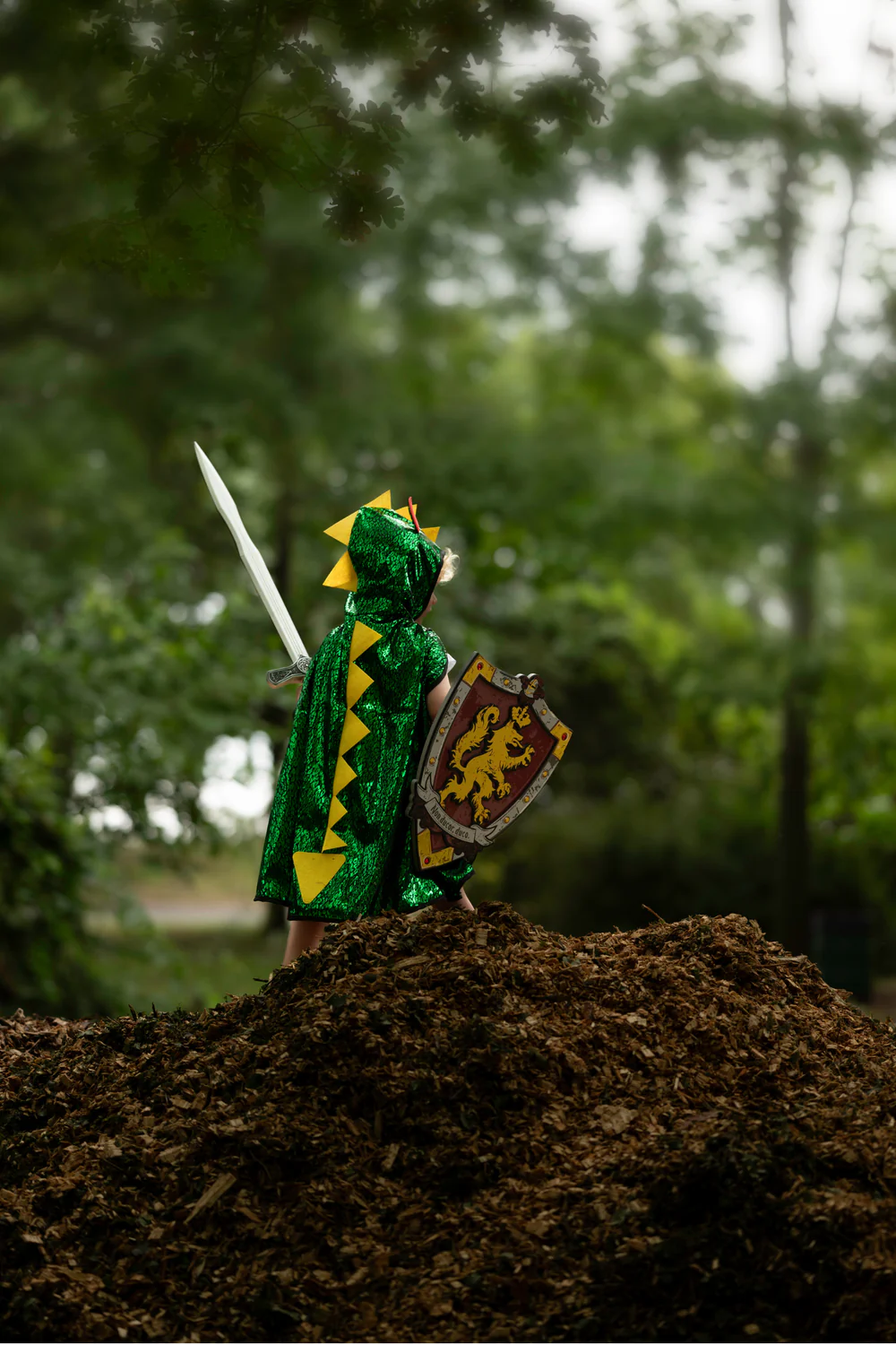 Great Pretenders Rüütli Au EVA mõõk Great Pretenders kleidid, keebid ja kostüümid - HellyK - Kvaliteetsed lasteriided, villariided, barefoot jalatsid