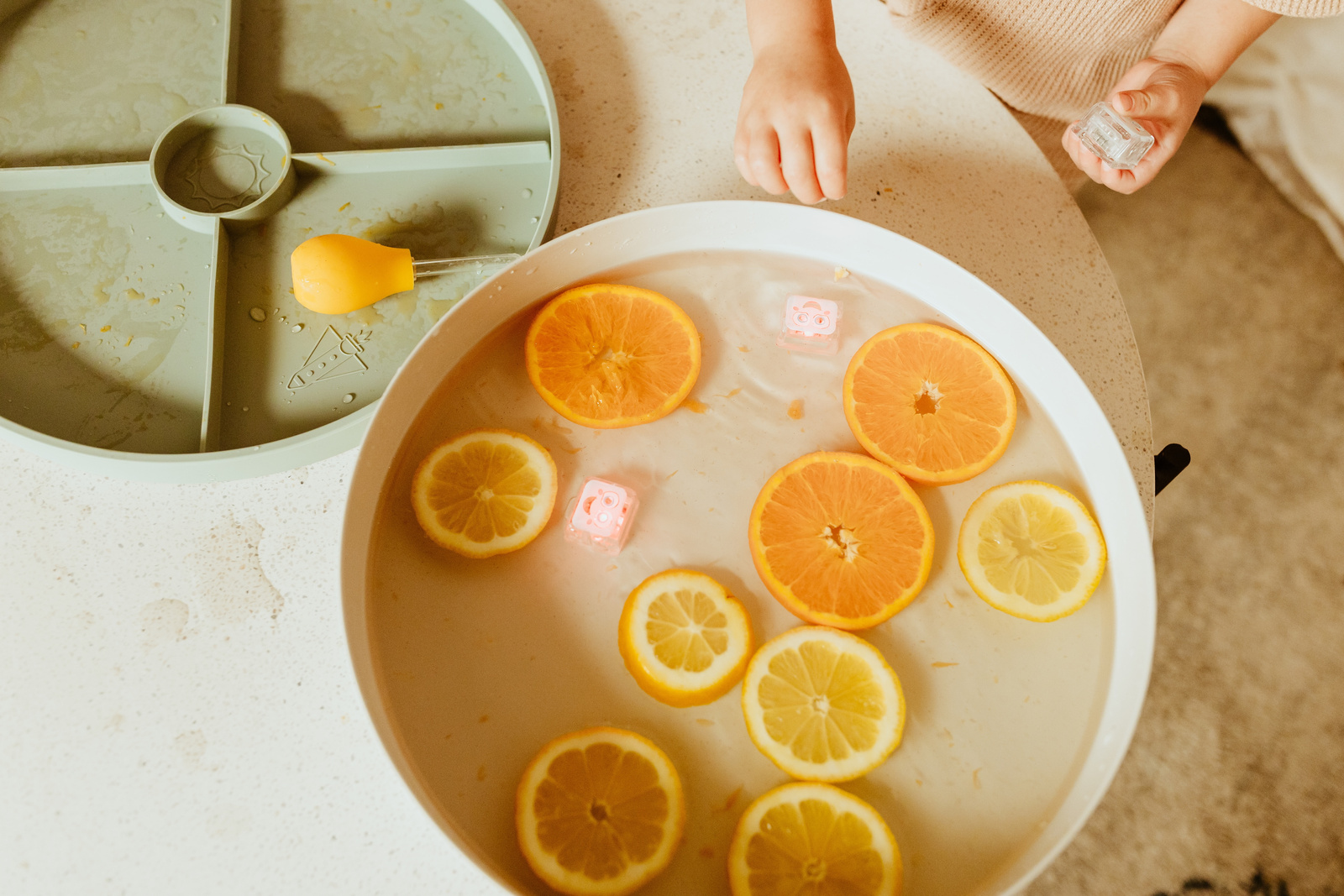 Jellystone November 2024 – Niche Space