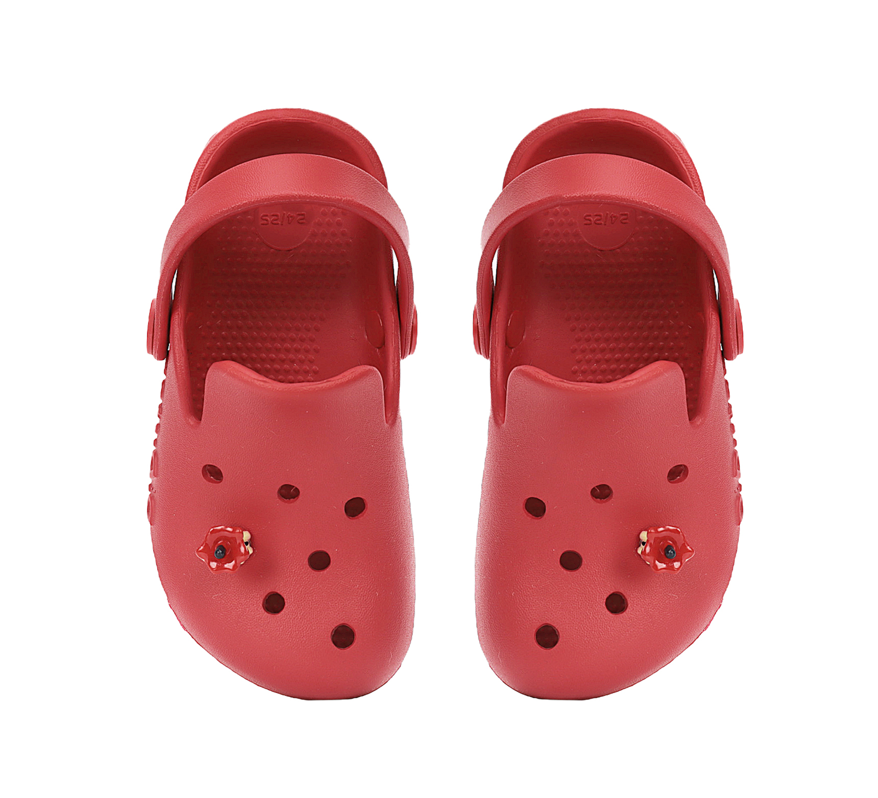 J109-61546 Raspberry 05